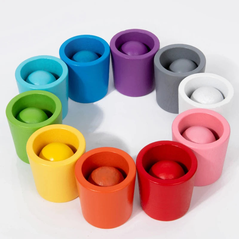 Montessori Wooden Toy Color Cups Matching Sorting Cognition Game Training Early Education Learning Educational Toys For Children